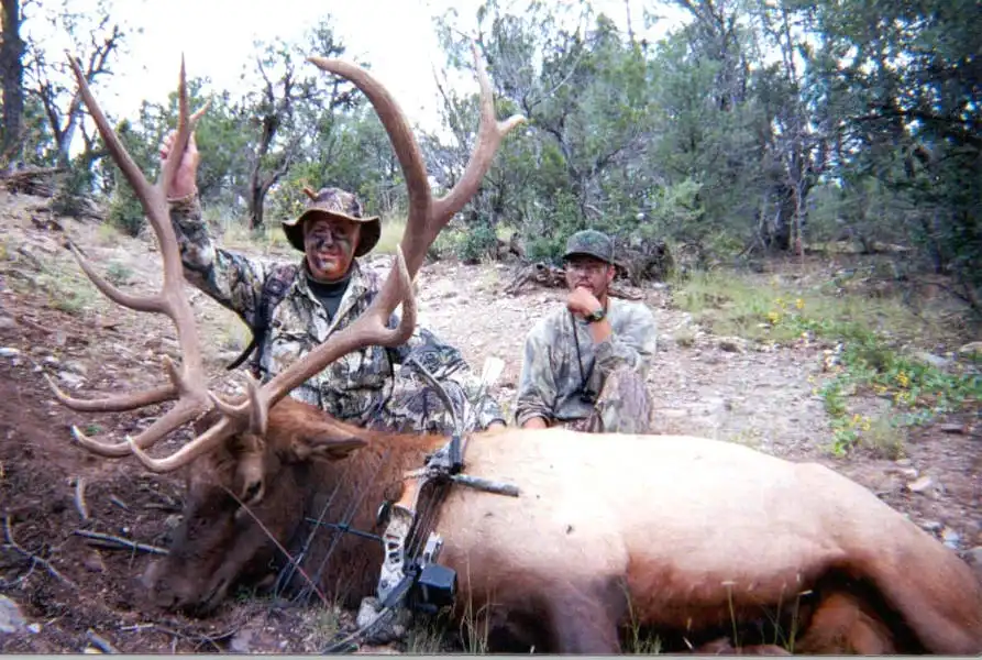 Archery Elk Hunting New Mexico: What Nonresidents Need to Know