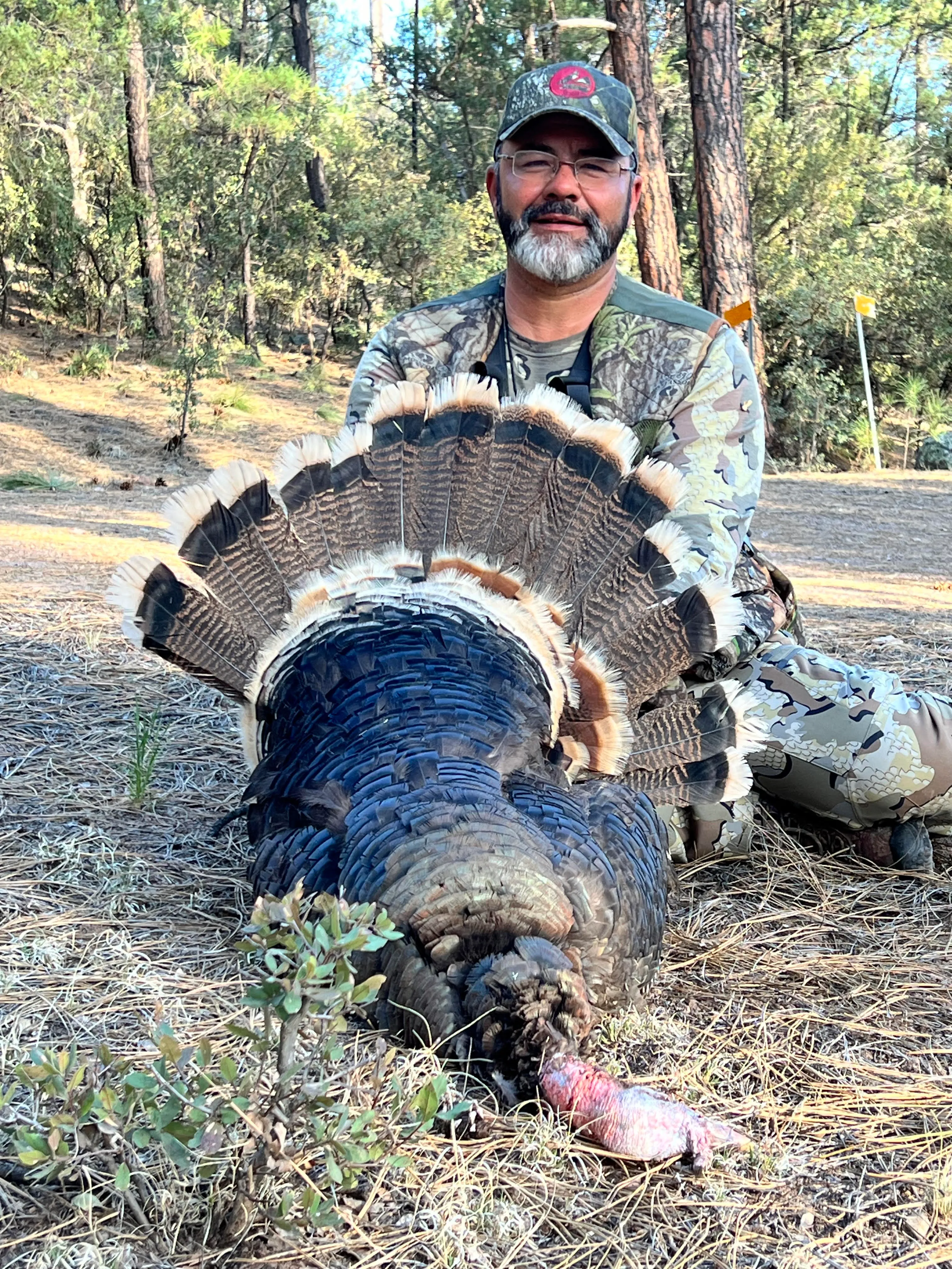 Spring Turkey Hunting